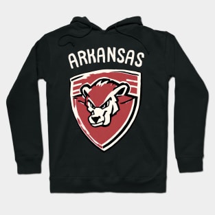 Vintage Arkansas Football Team Player Summer Camp Arkansas Spring Game Day Hoodie